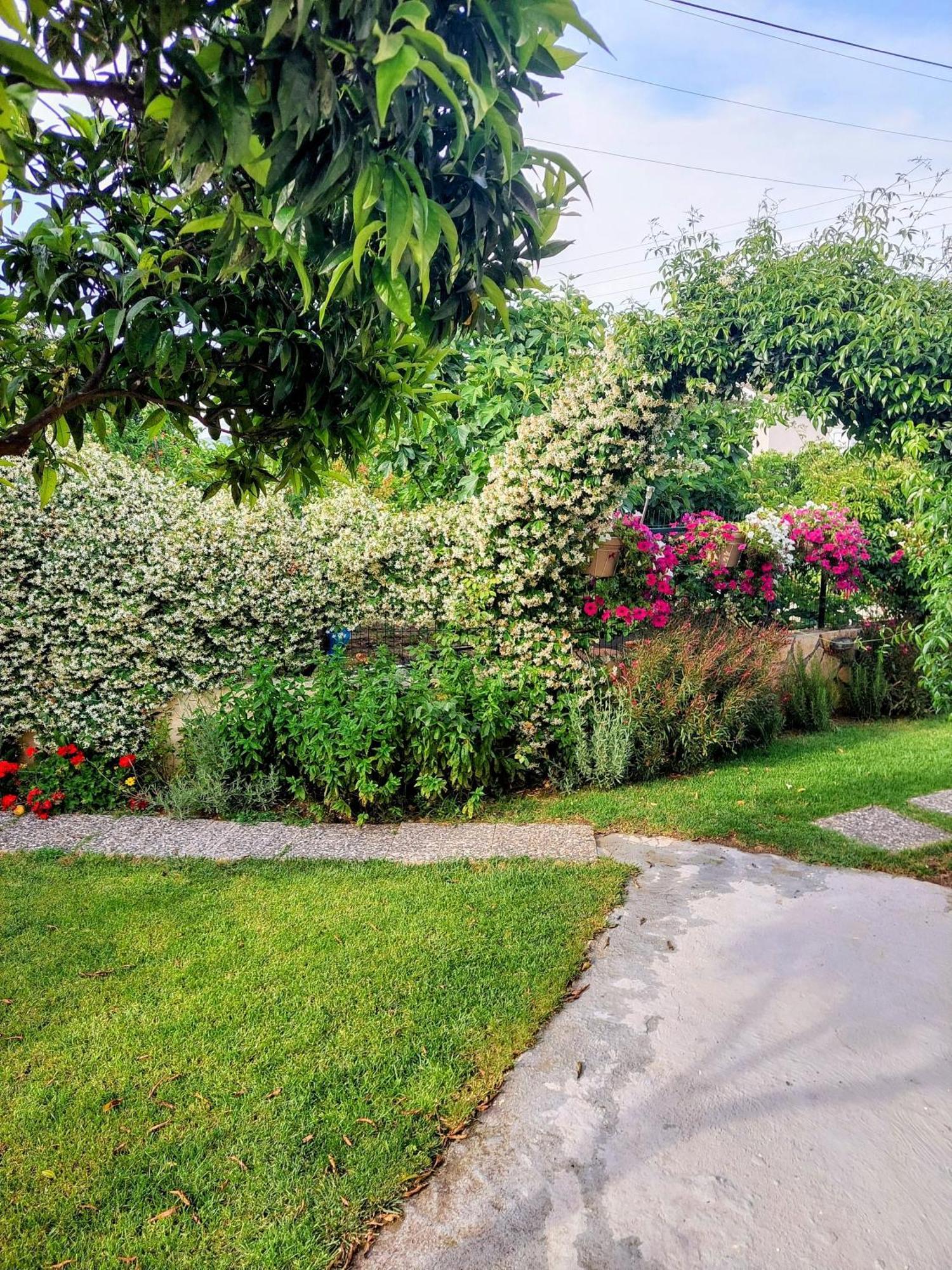 Summer Village House Popi Kanakádes 외부 사진